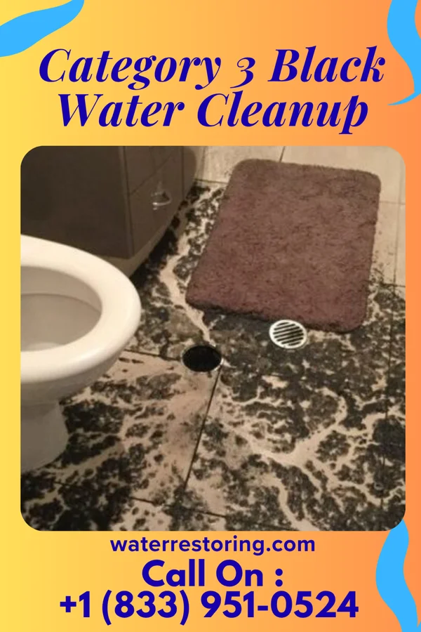 Category 3 Black Water Cleanup in Lake Colorado City, TX