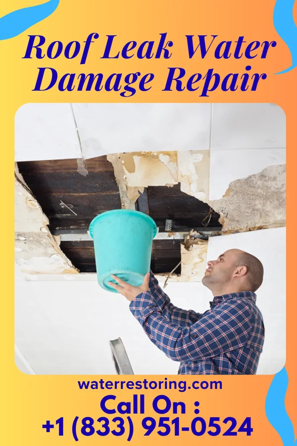 Roof Leak Water Damage Repair in Lake Colorado City, TX