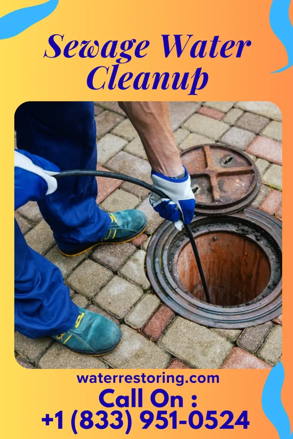 Sewage Water Cleanup in Lake Colorado City, TX