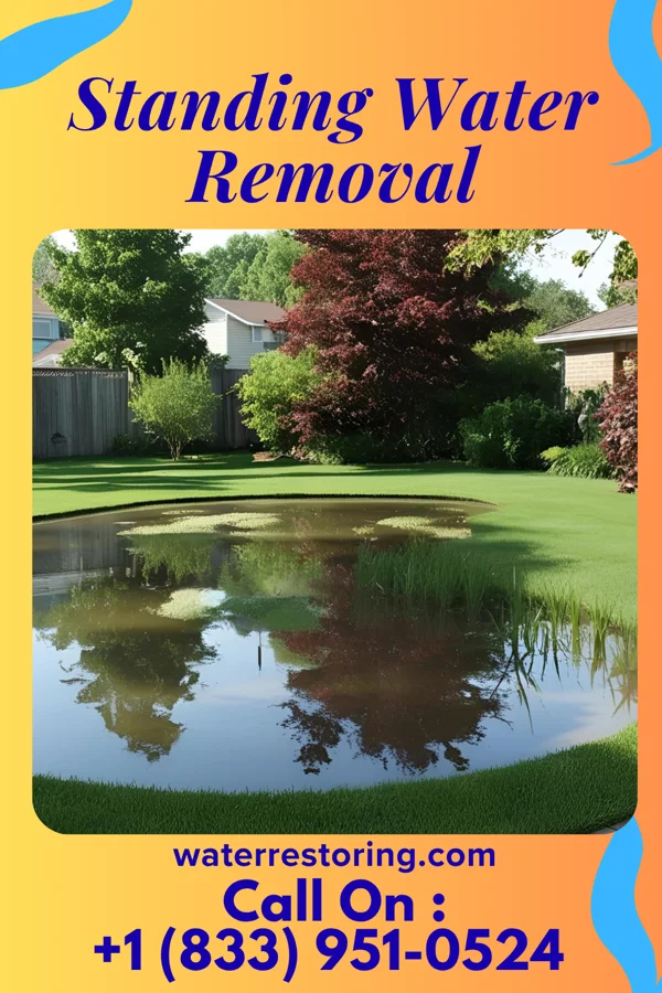 Standing Water Removal in Lake Colorado City, TX